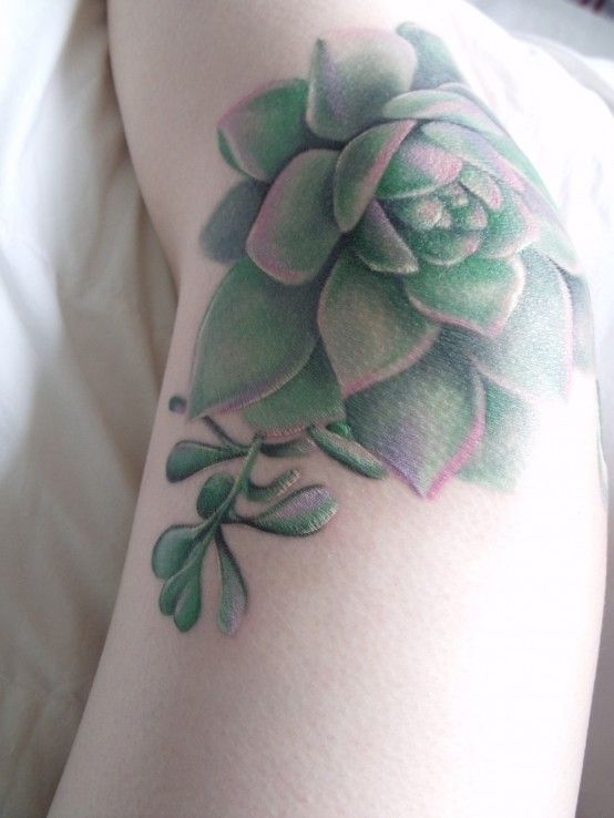 Cactus Knee Tattoos for Females 1