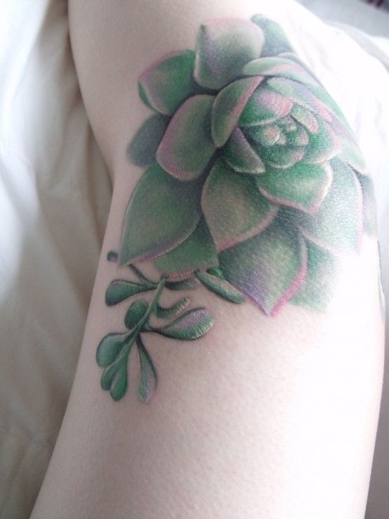 Cactus Knee Tattoos for Females 1