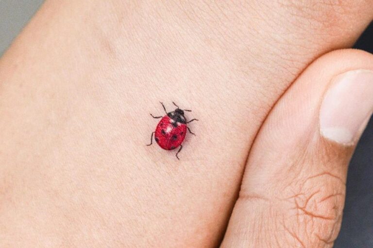 Ladybug Tattoo Ideas