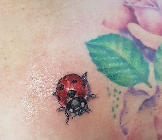 Ladybug Tattoo Meaning 3