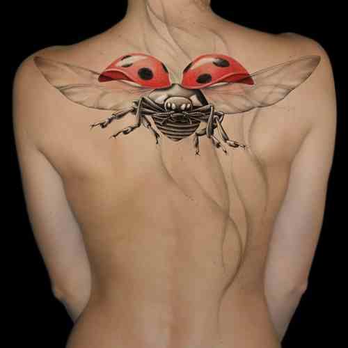 Ladybug Tattoo on Back 1