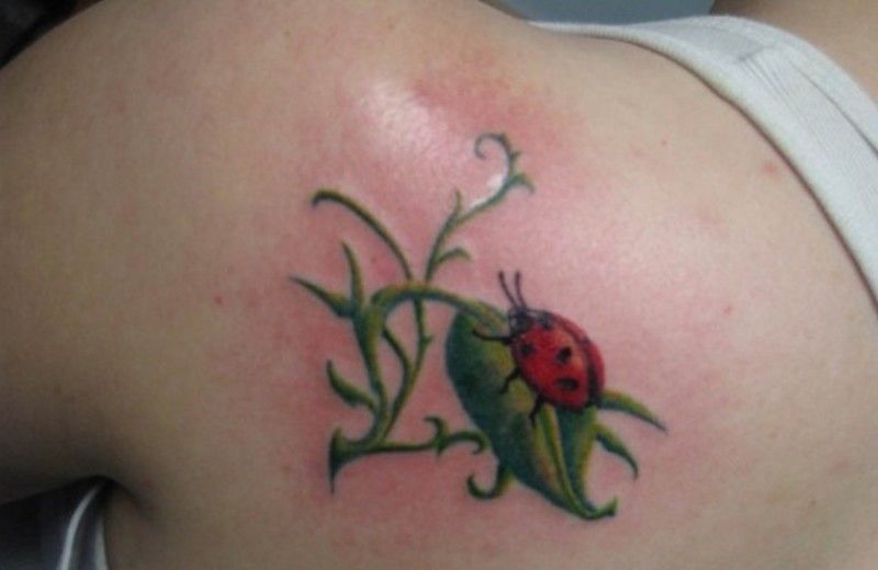 Ladybug on Leaf Tattoo 1