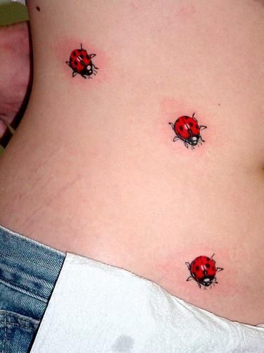 Ladybug Tattoos  Ladybug Tattoo Ideas